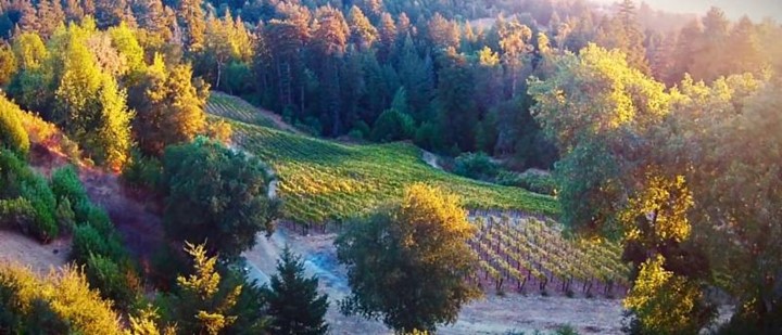 November Wine Club Release Weekend
