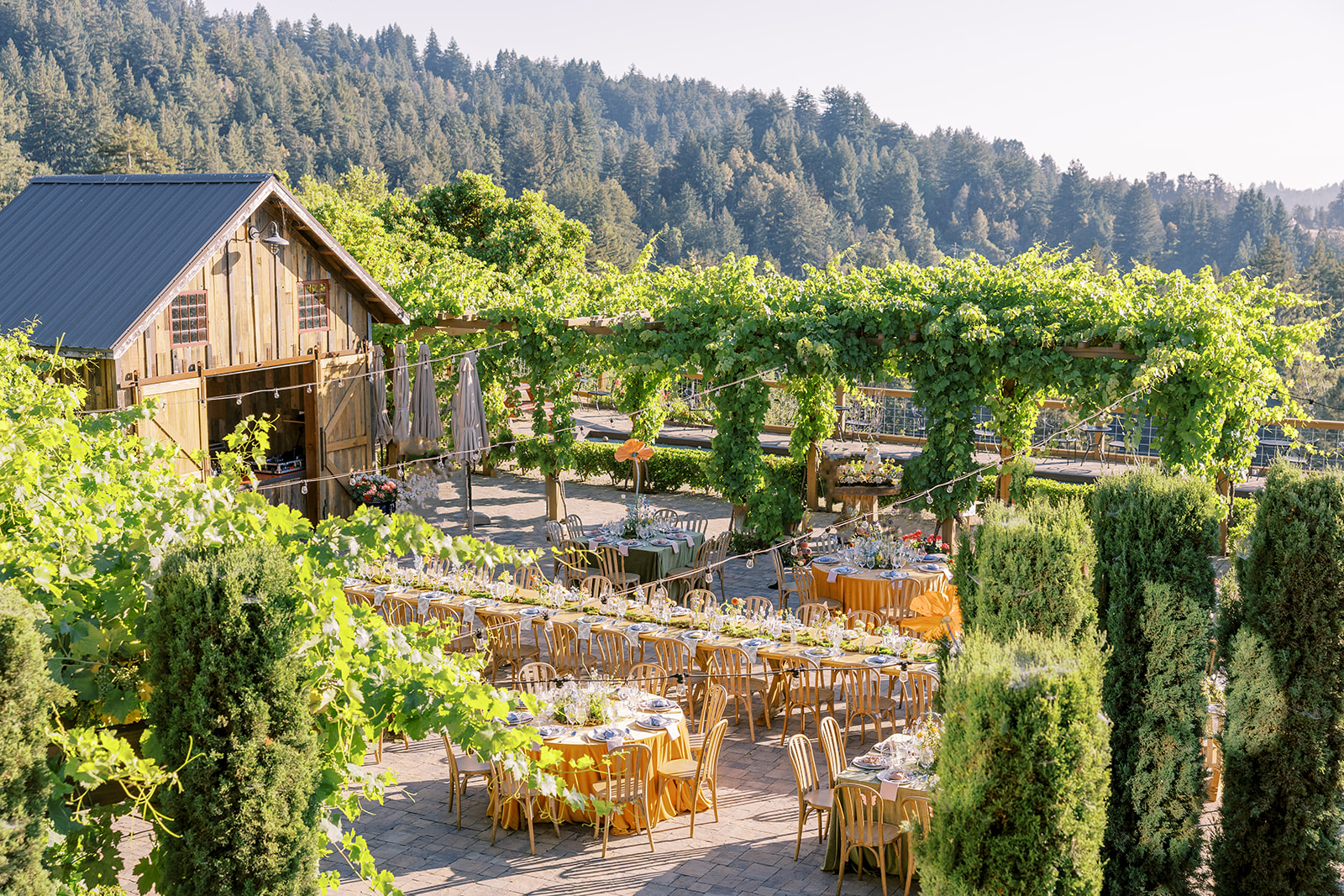 Summer Outdoor Reception