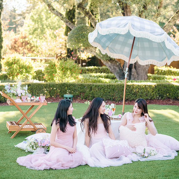 bridal party picnic